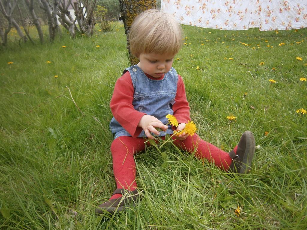 Vopnafjorthur Sireksstadir Farm Holiday מראה חיצוני תמונה